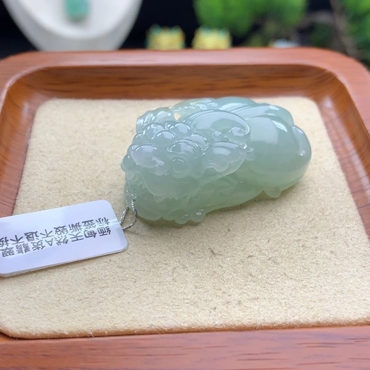 翡翠未镶嵌颈饰貔貅21