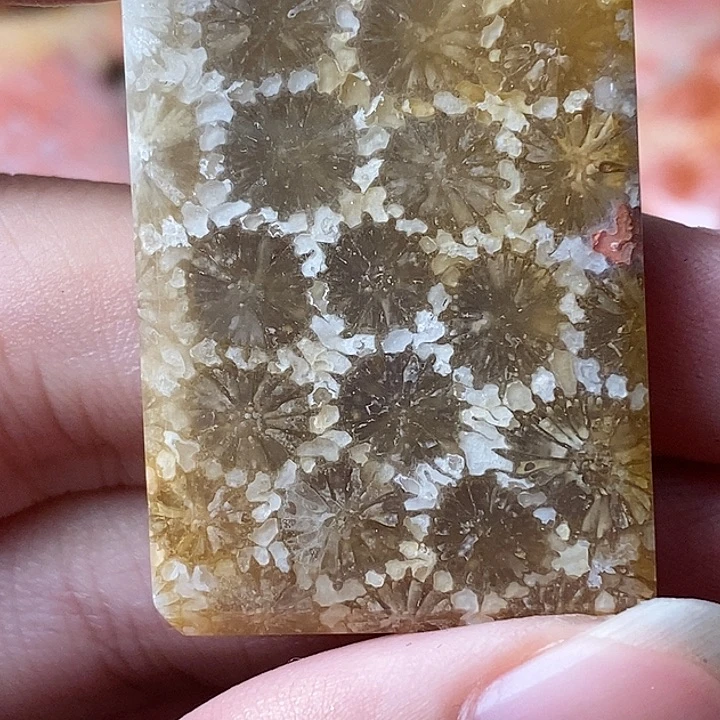 福***庆硅化玉未镶嵌吊坠