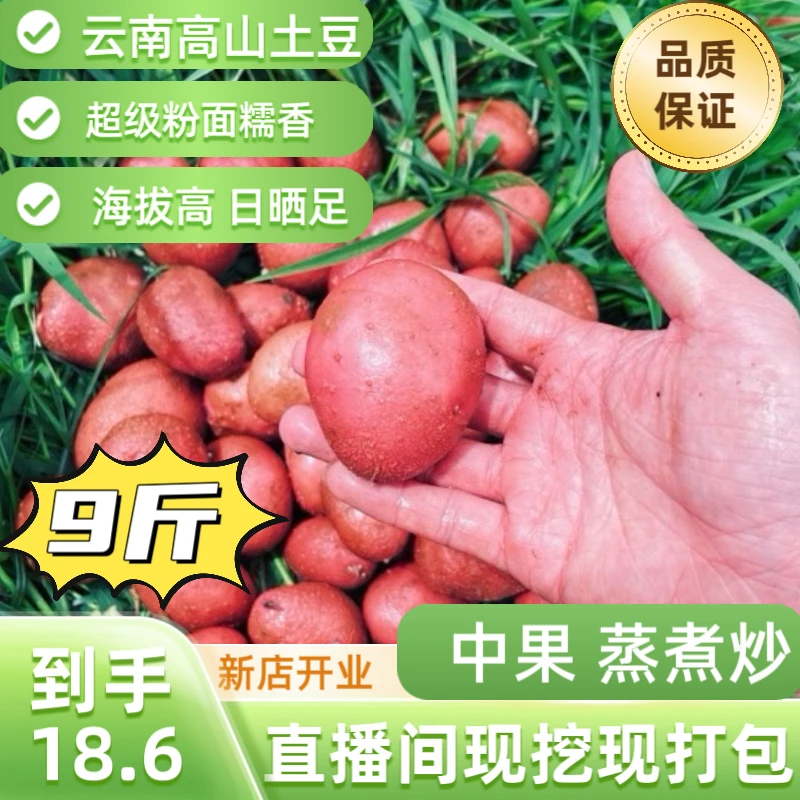 7月10号出土云南高山老品种土豆中果9斤低糖低碳