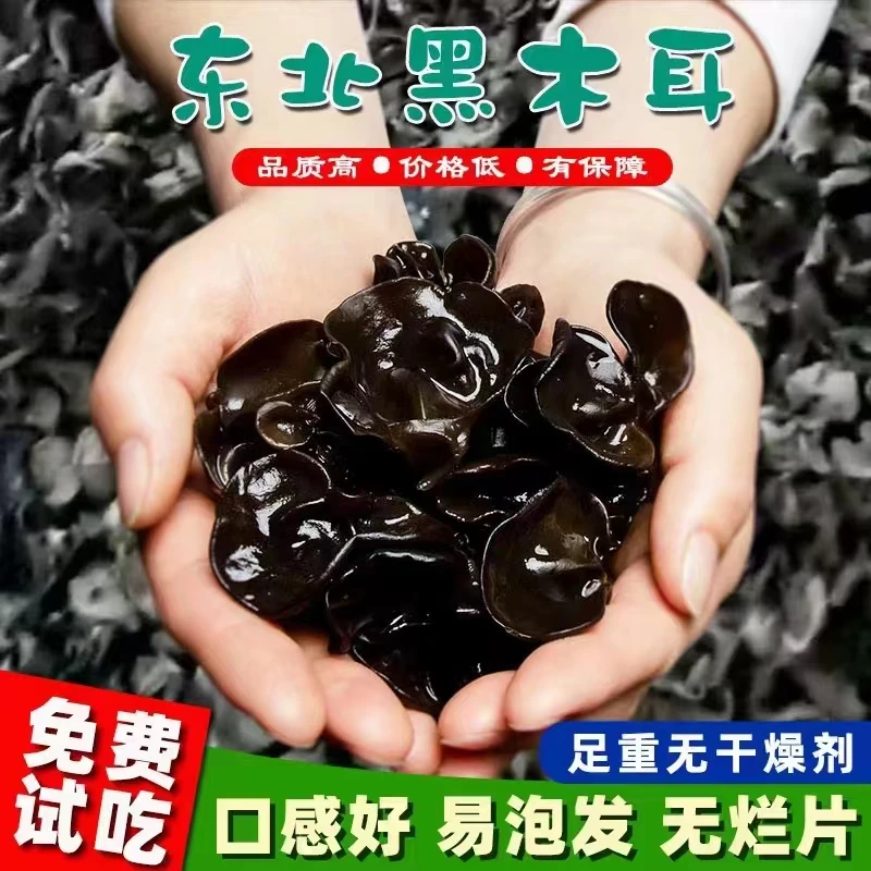 500克一袋秋木耳无根无沙肉厚软糯(支持原装试吃)