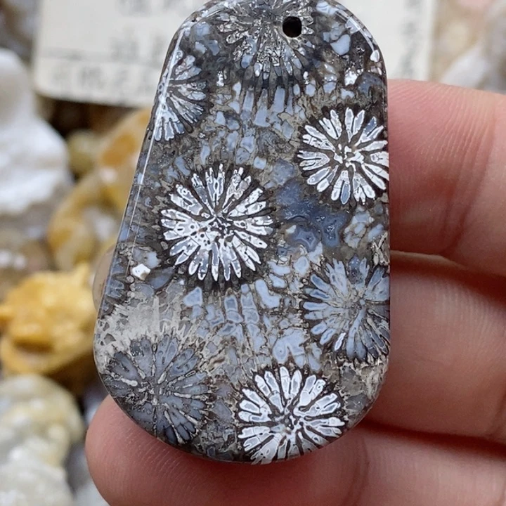 颈饰未镶嵌硅化珊瑚（珊瑚玉）