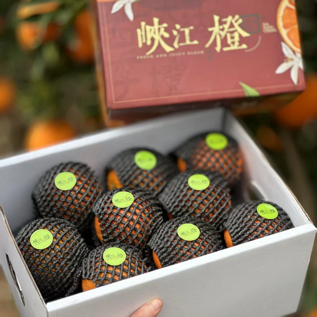 湖北秭归伦晚春橙 应季鲜果 花果同枝 很甜