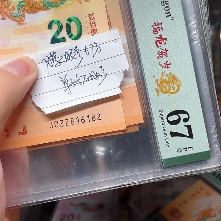 塑料龙钞啊啊啊啊啊啊啊啊