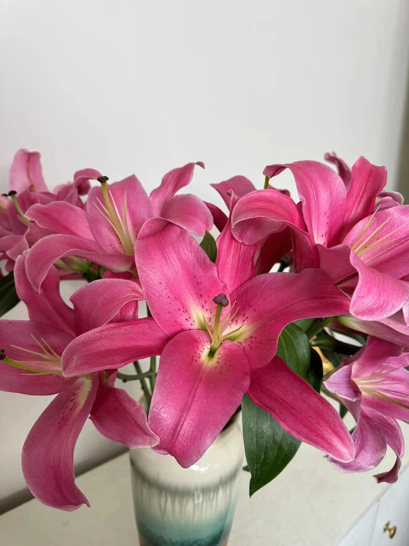 【基地直发】  爱情小镇香水百合花卉鲜花