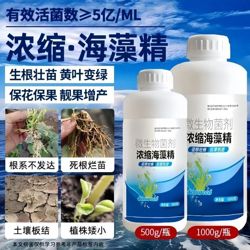 浓缩海藻精肥料促根壮根绿叶靓果抗旱抗逆大田作物通用水溶肥