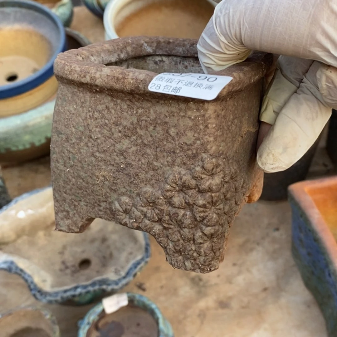 红陶往**烟90号多肉盆一个呀