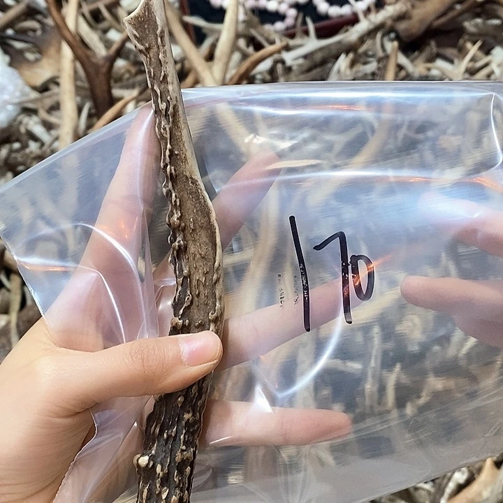 鹿角鹿角鹿角鹿角鹿角