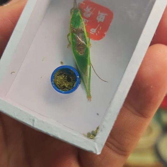 橙柑女鞋一条全品
