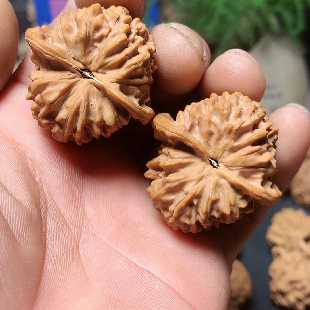 【闪购商品】文玩核桃把件加*咪龙卷风小众野麻把件