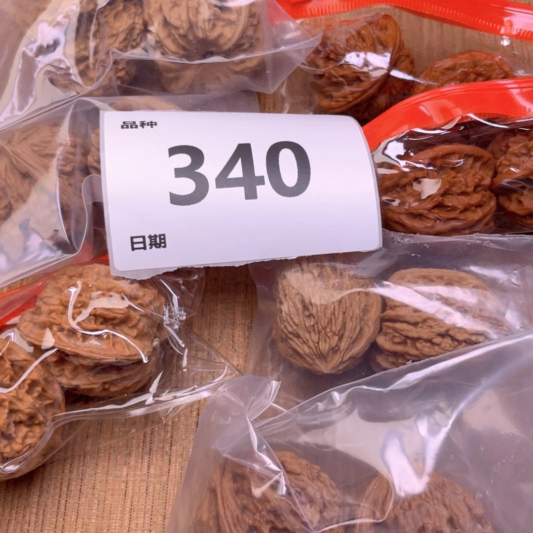 文玩核桃把件340号7对