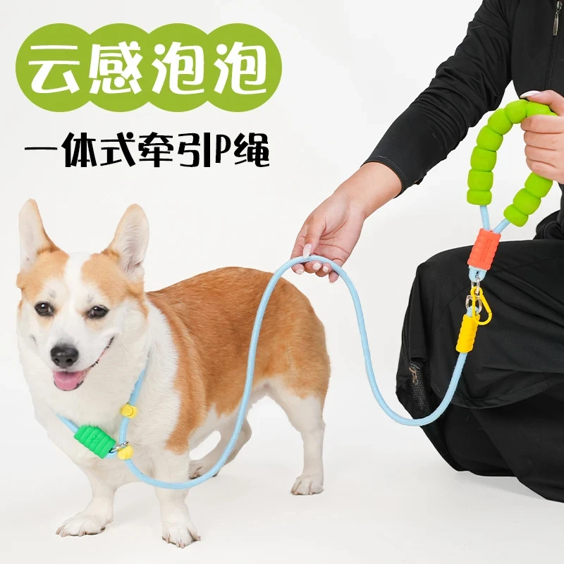 跨境爆款P绳狗狗牵引绳舒适泡泡棉遛狗绳多巴胺糖果色拼色小狗绳