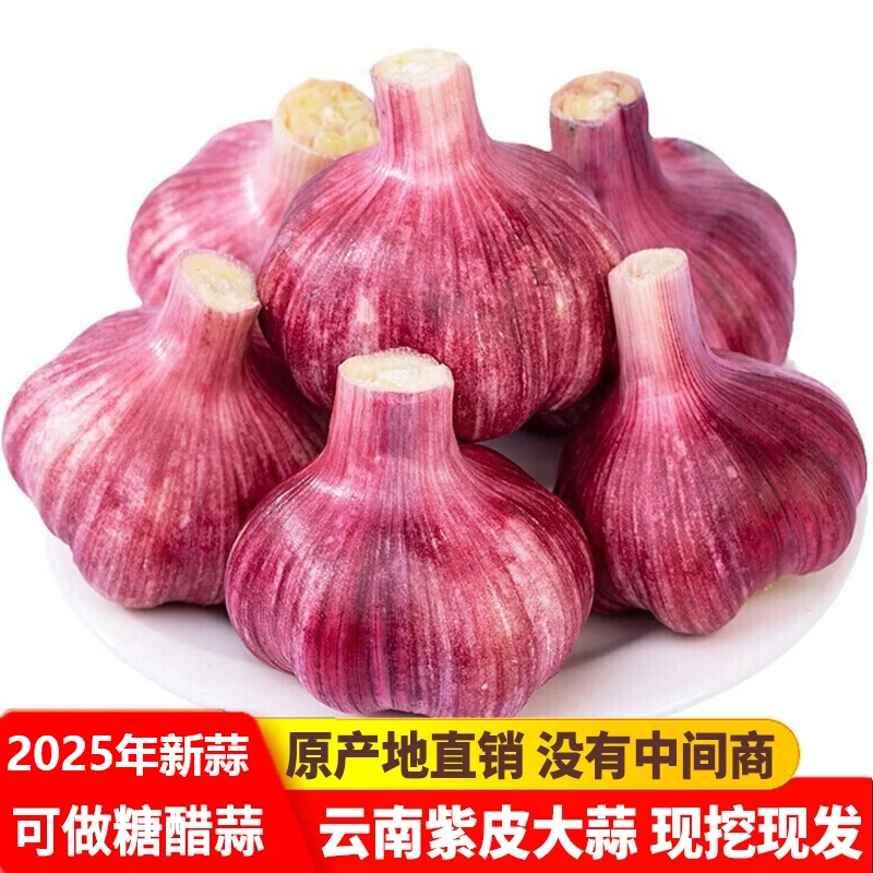 【新鲜现挖】云南紫皮 2025年新鲜现挖大蒜头香蒜调料辛辣红蒜