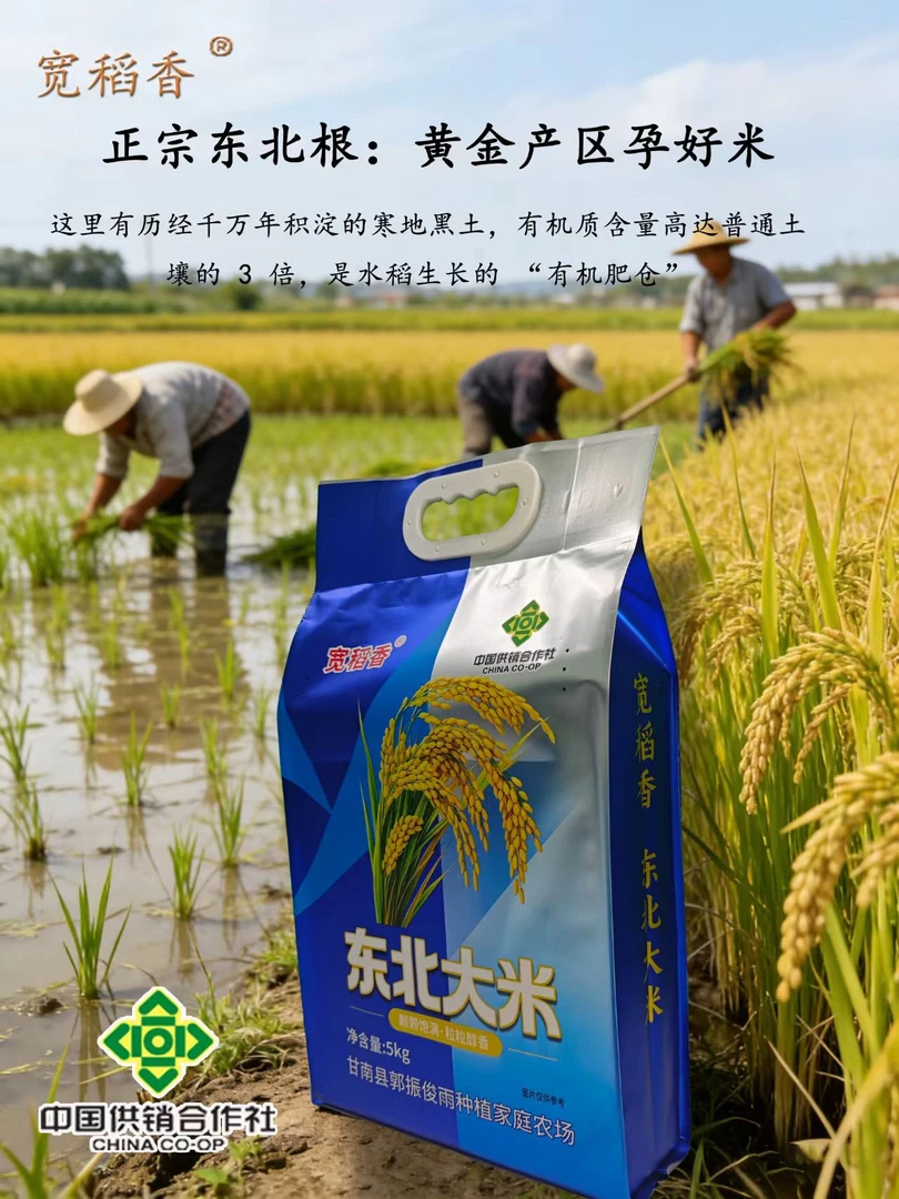 宽稻香东北大米5kg 一级粳米黑龙江齐齐哈尔特产软糯香醇