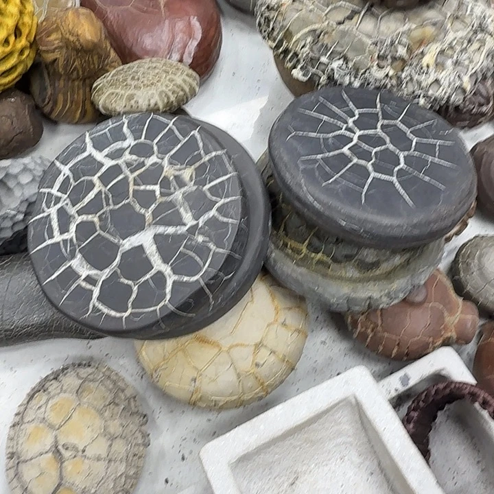 ~***远石材龟纹石，玲珑石
