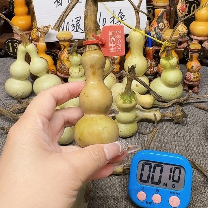 芝***忙地里不冷啊怎么还