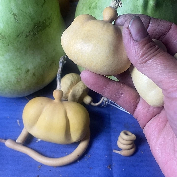 简***装葫芦手把件摆件葫芦