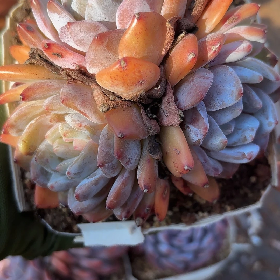 003包邮包邮包邮包邮