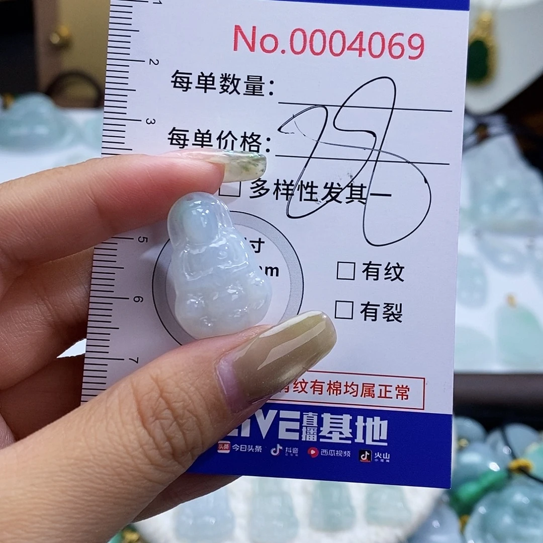 翡翠未镶嵌颈饰4069