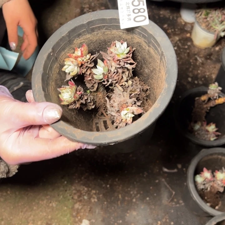 580哈哈哈哈哈哈哈哈