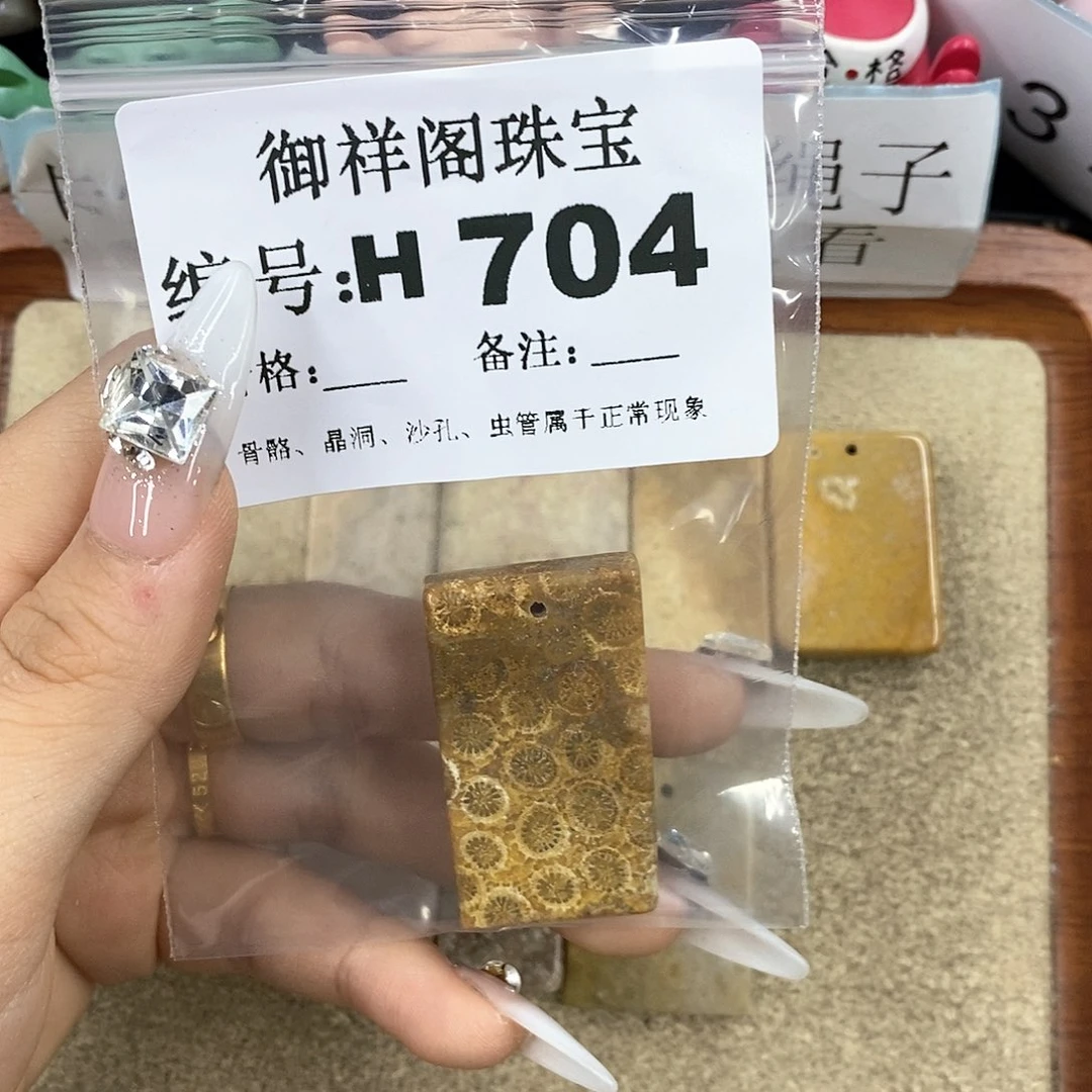 硅化珊瑚（珊瑚玉）H未镶嵌馨*✨
