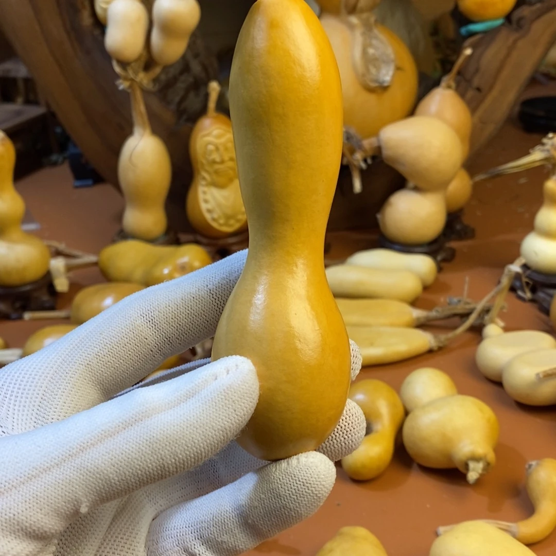 专***师教练教练教练教练啦