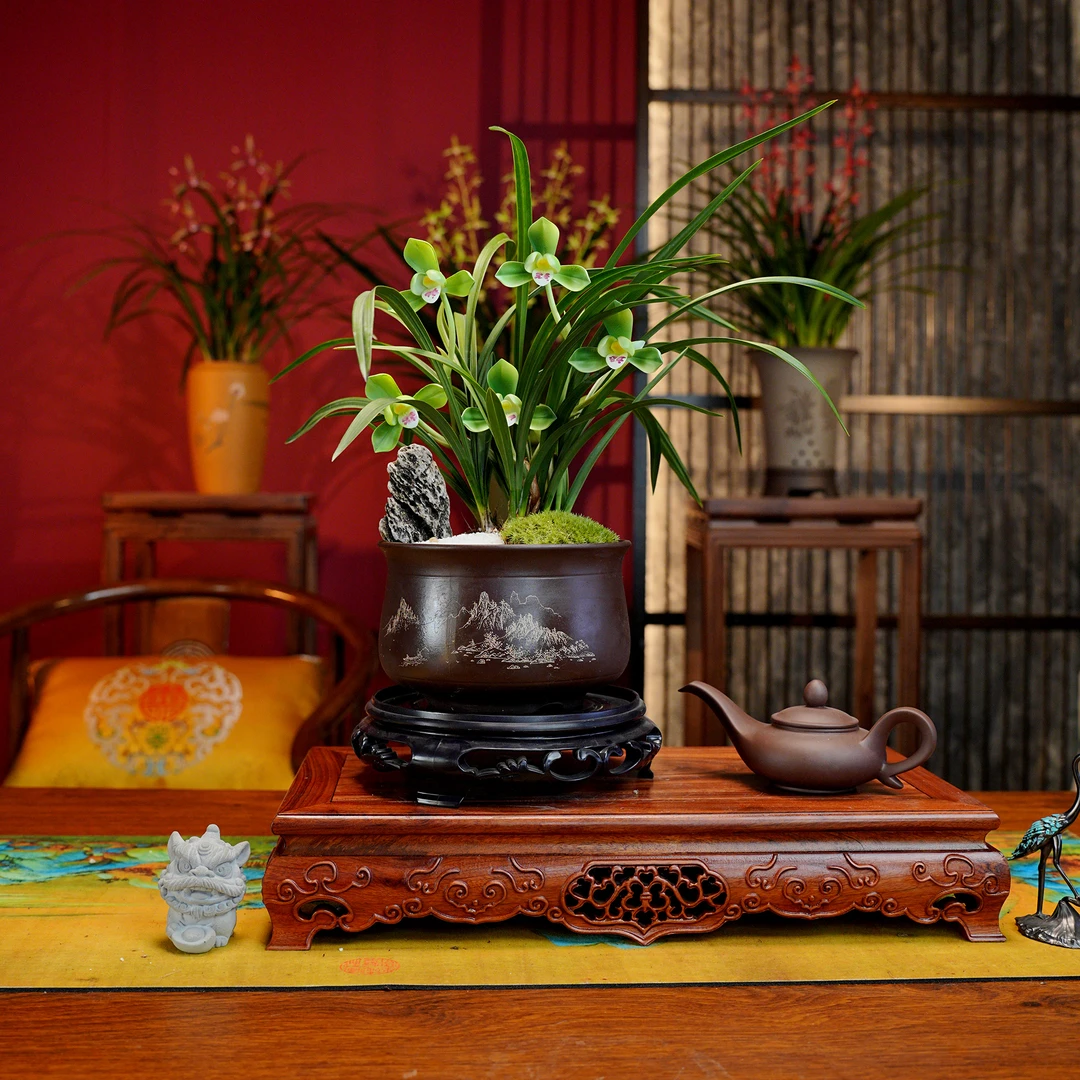 春兰铭品【富贵荷】 带花芽浓香型兰花 紫砂盆 室内好养盆栽