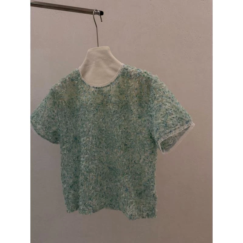 【福利版】进口面料蕾丝网纱拼接圆领上衣 J25DX295