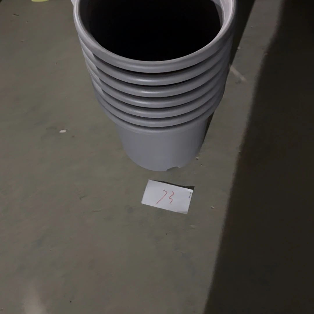 编号是73号的73号的