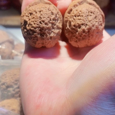 把件文玩核桃玄武盾带彩40