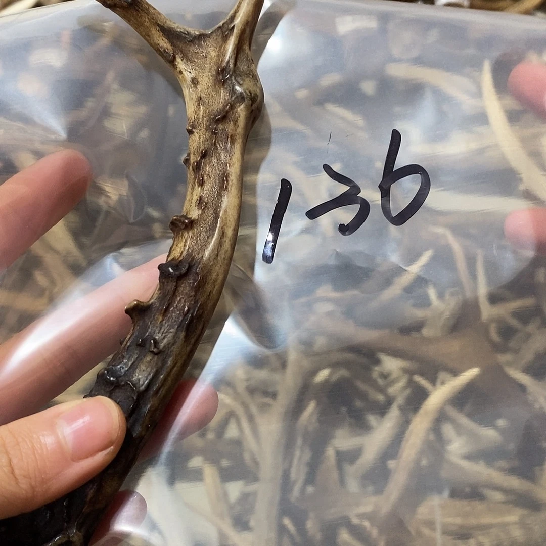 B***E非金属鹿角鹿角鹿角