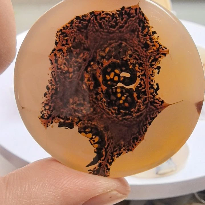 非金属时尚饰品66