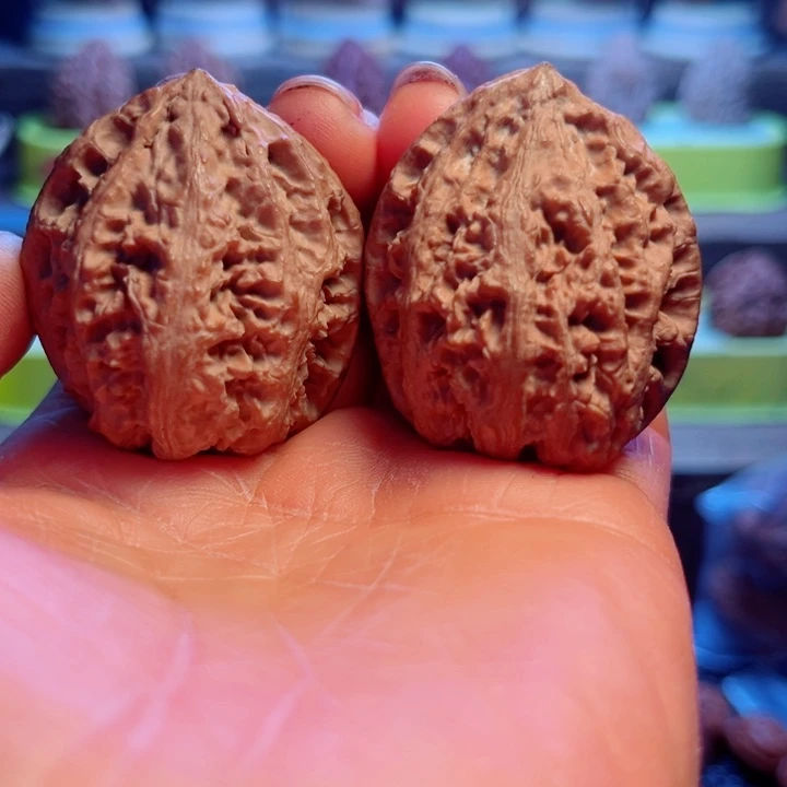 核桃4号车放漏漏漏漏