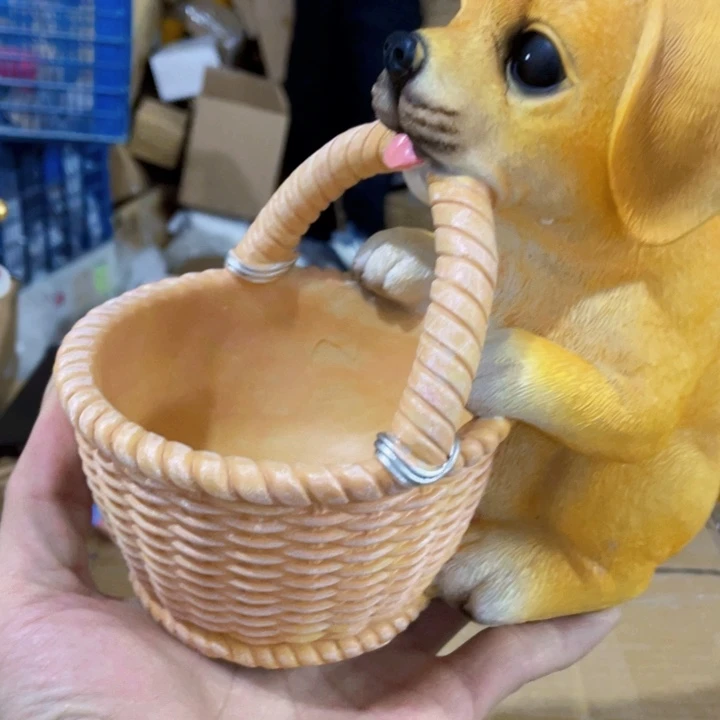 红陶来来来来来来