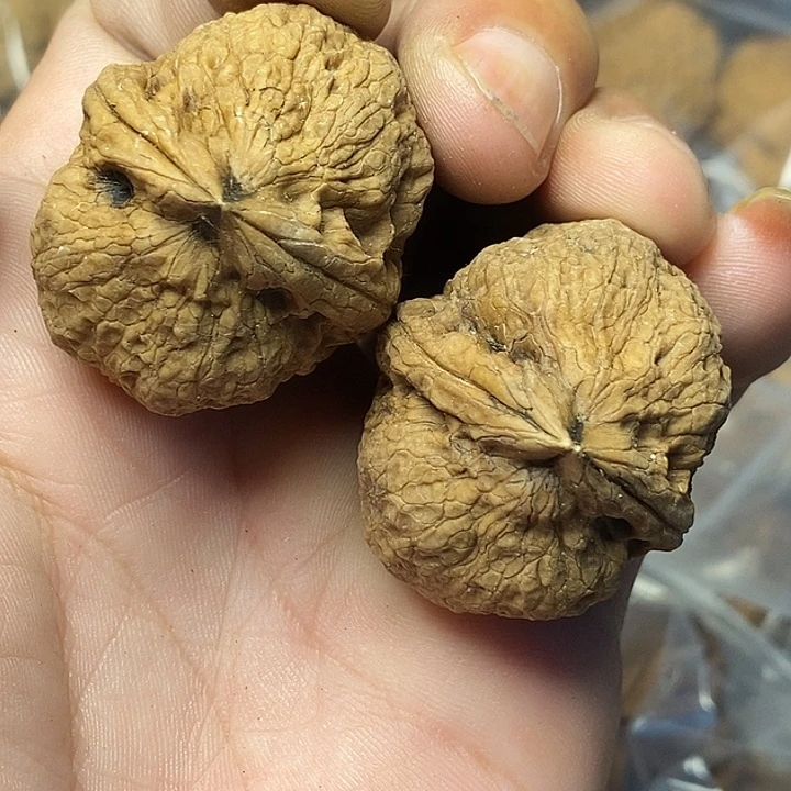 把件文玩核桃云南铁核桃75号37mm