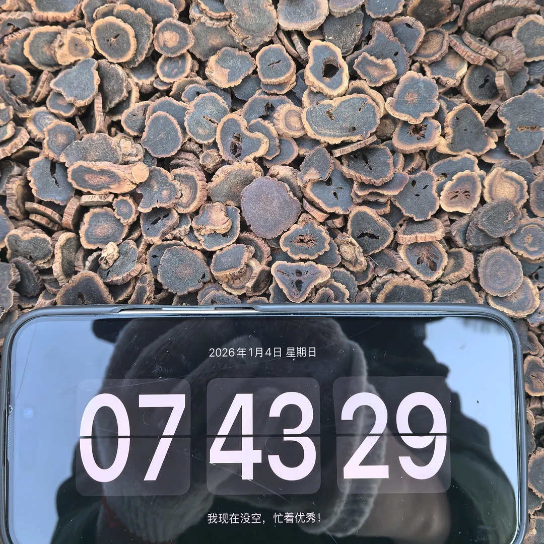 【小雪严选】长白山 九蒸九晒  黑参二级片-1