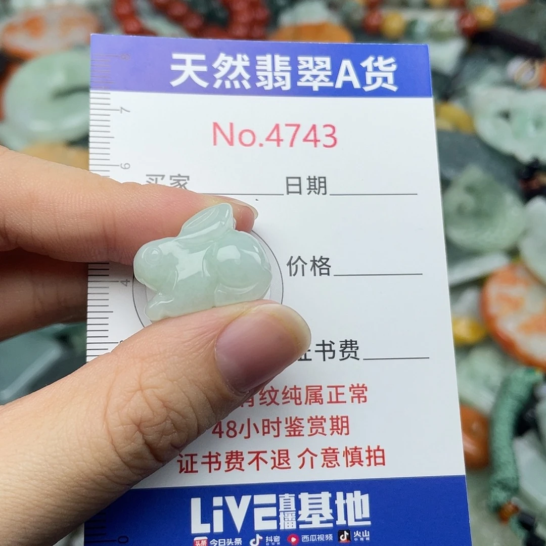 翡翠未镶嵌挂件4743