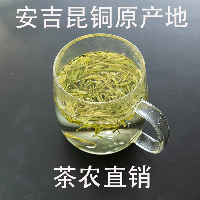 2025年安吉昆铜原产地核心产区奶白茶黄金芽奶香A60豆香小芽明前