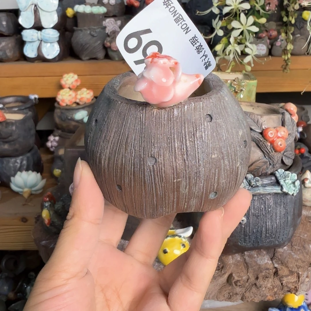 重庆小燕子欢迎大家069