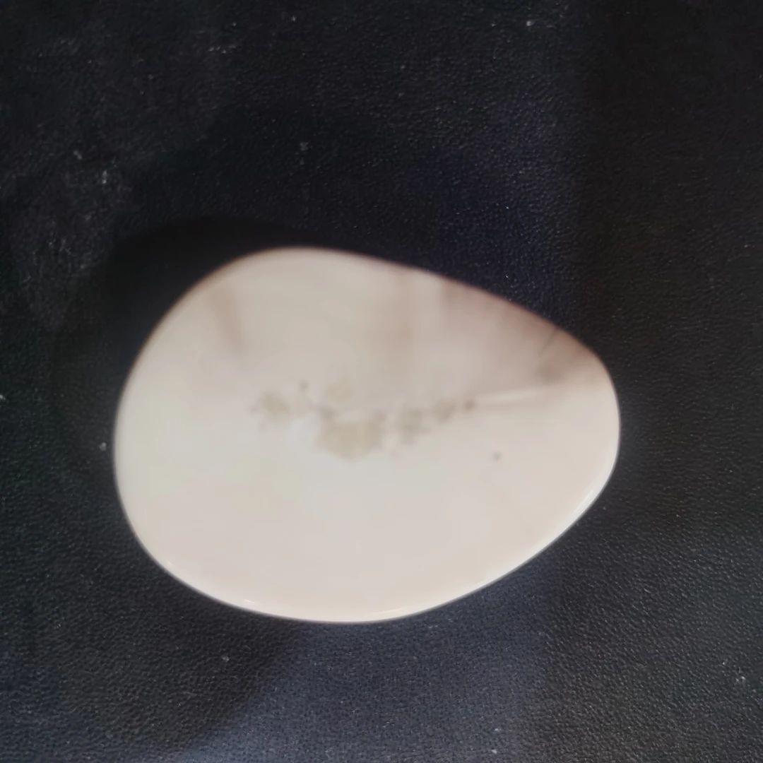 猛犸猛犸虬饼子 WT191