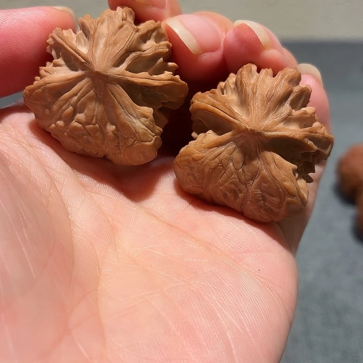 昱文玩核桃，尺寸31，异形小蛇