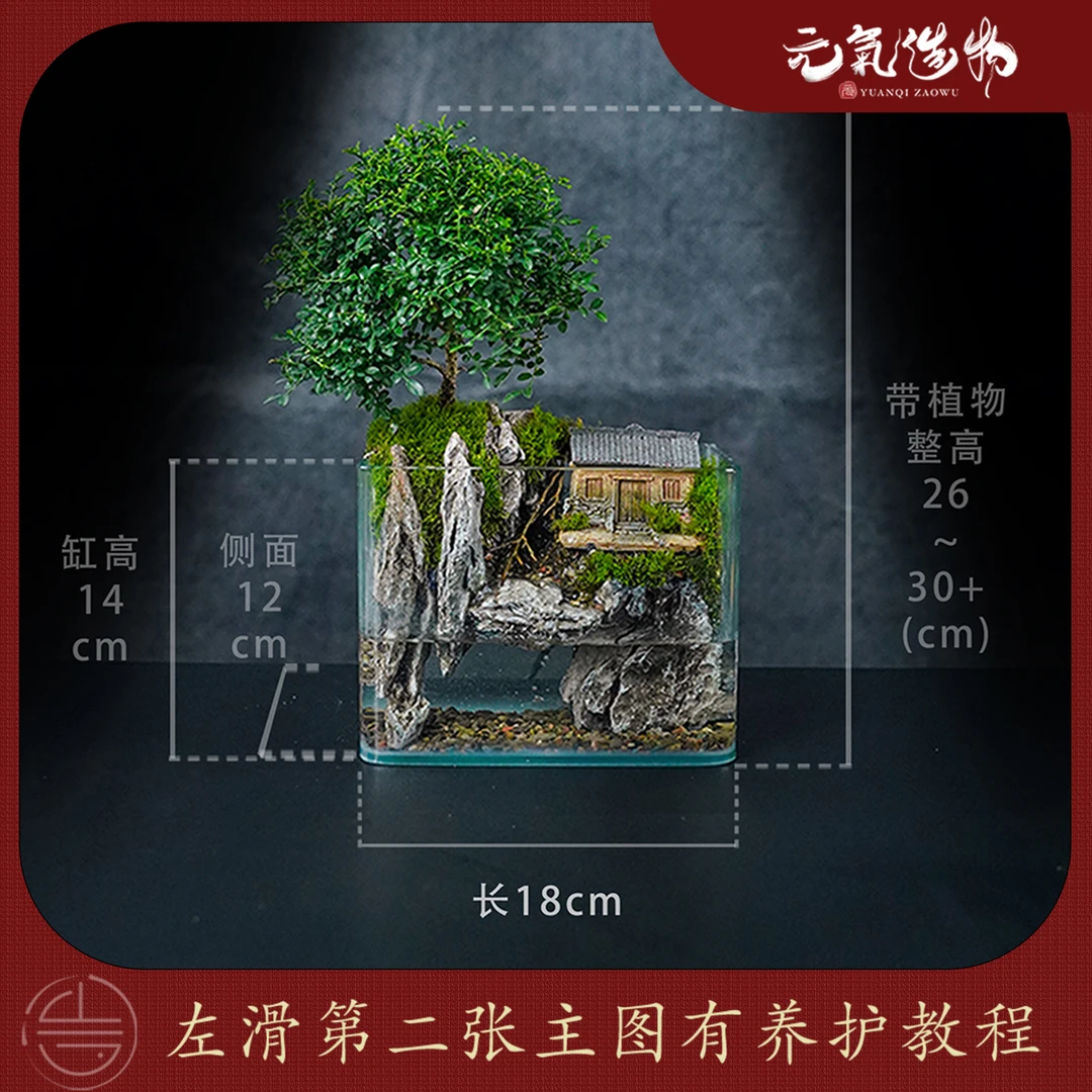 【雾隐】山野pro—流水内循环达摩九里香造景成品【尺寸：18*12*14】