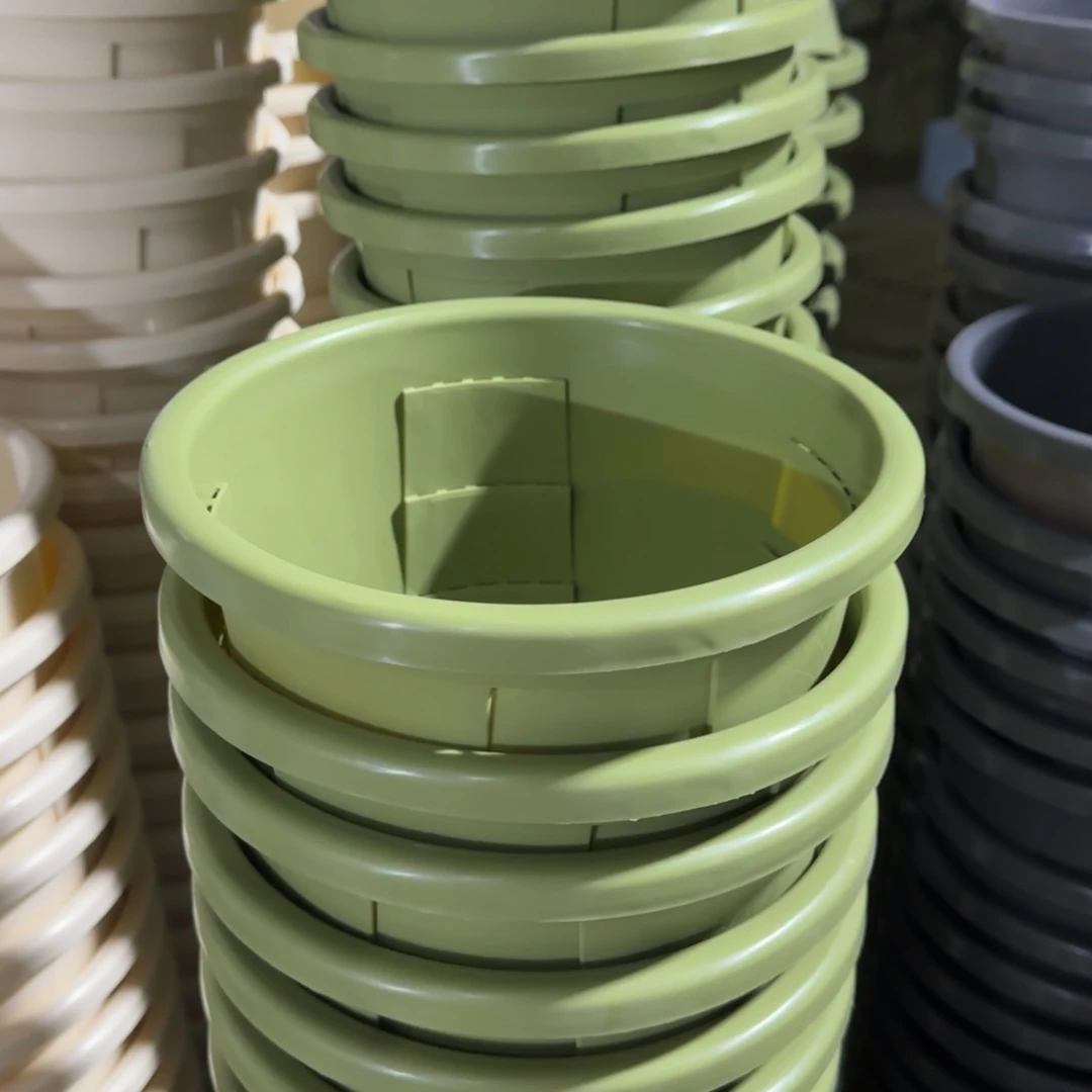 树脂侧2果绿 10个带拖