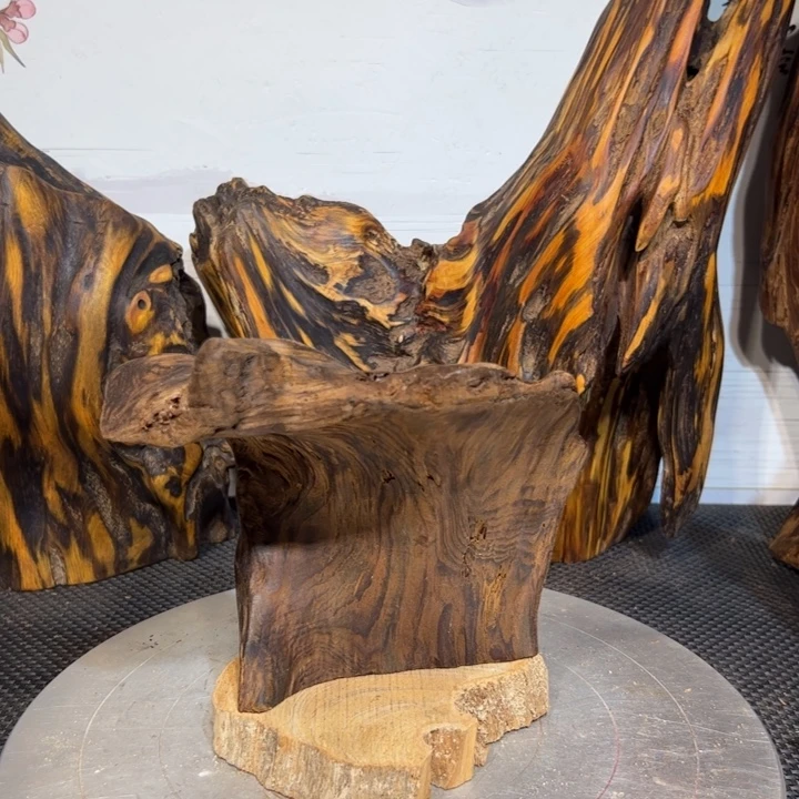 此***景木直播间一物一拍