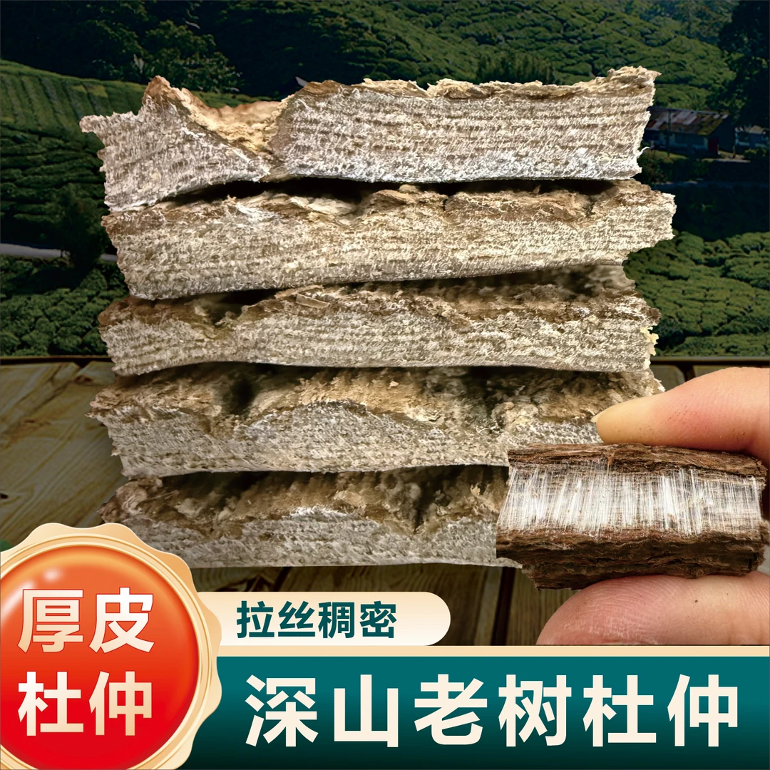 （直播专项）老树龄杜仲厚肉拉丝煲汤料干杜仲皮泡茶煮水滋补新货