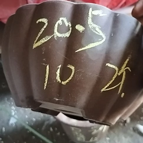 南瓜两个紫砂花盆