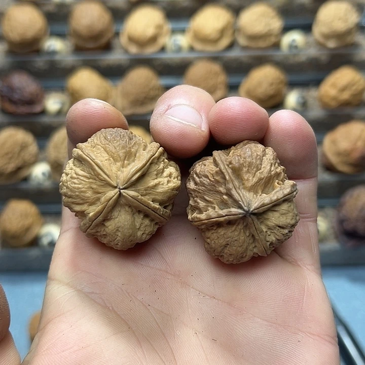 把件文玩核桃34号小方块