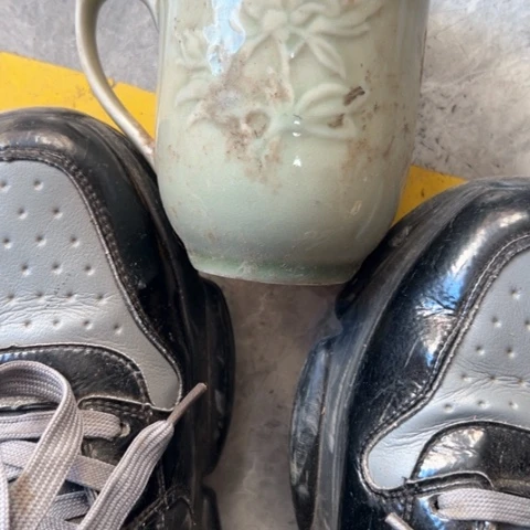 核桃木/黑胡桃（胡桃木）林****教