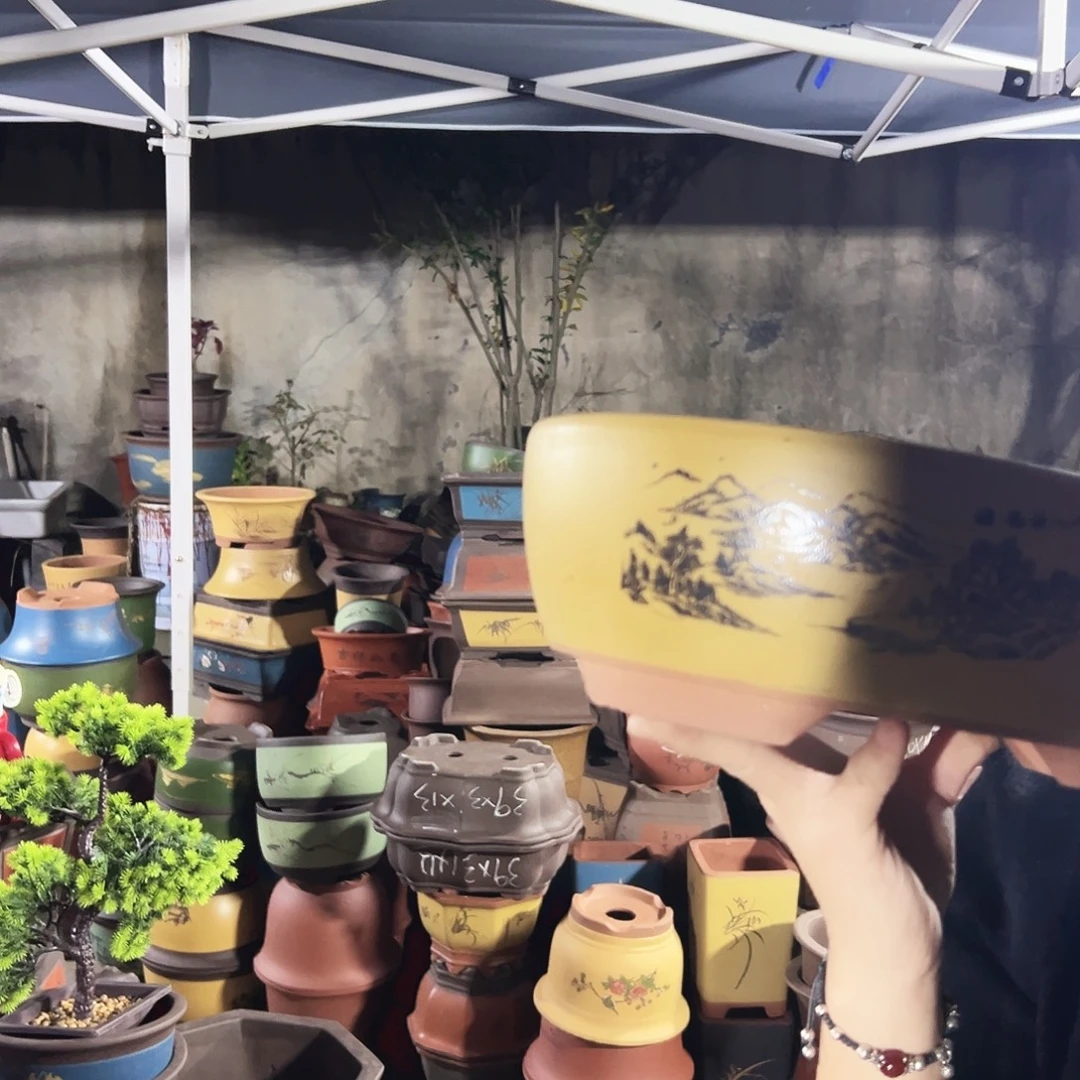 黄色江山如画小号一个