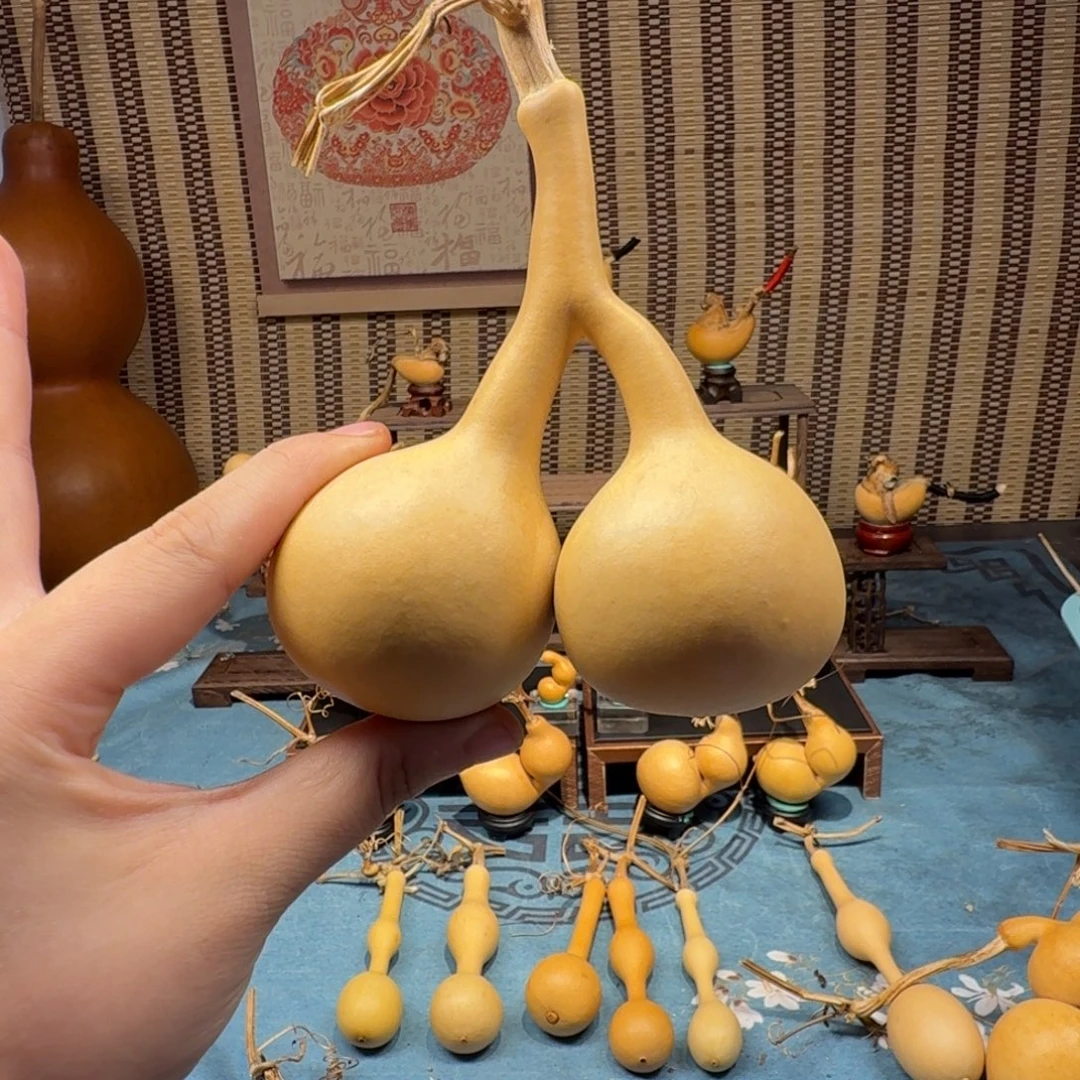 萧***子连体双胞胎异性摆件