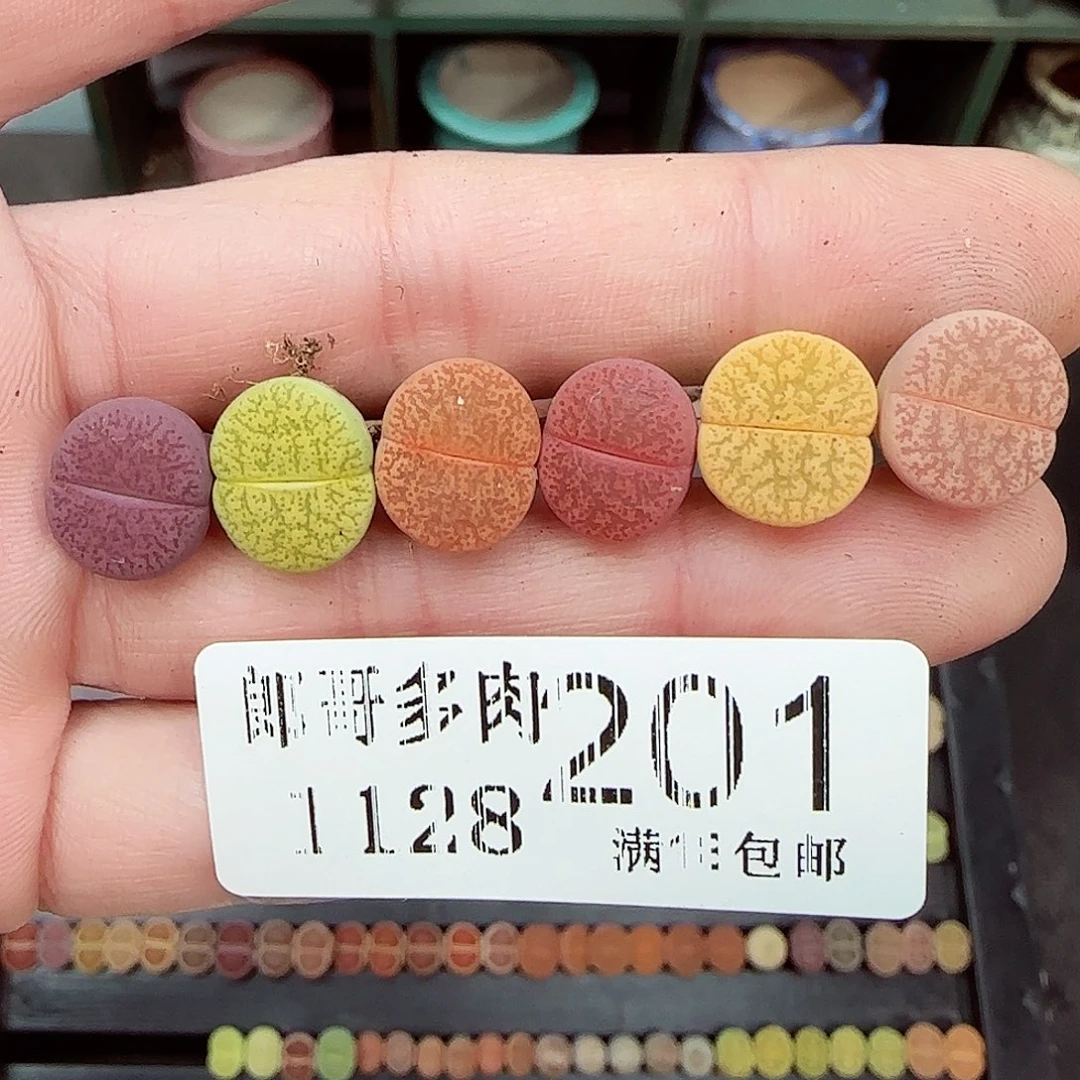 炭***炭满满18包邮1128-201